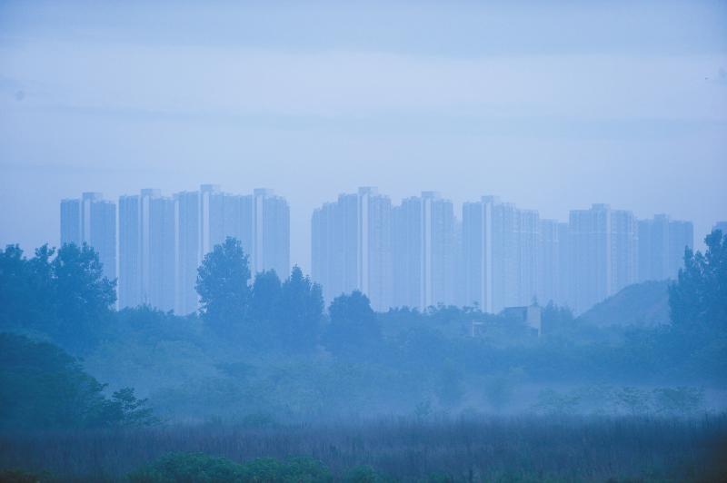 又闻端午艾草香 成都老人：辛苦一年只卖两天(图4)