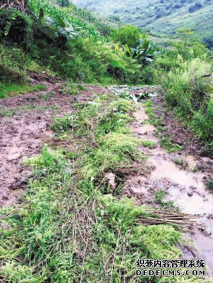 昆明市经开区为撒营盘镇修通致富路(图2)