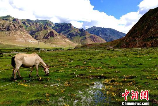 西藏“药王故里”宇妥沟打响人文旅游品牌(图5)