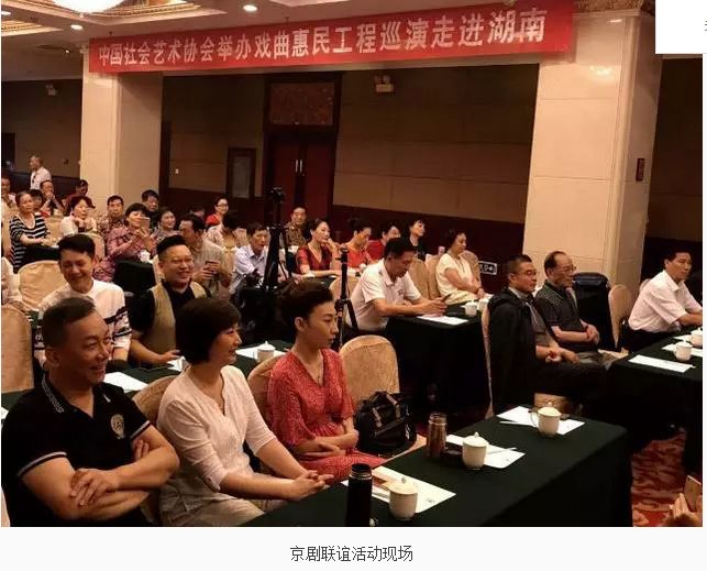 特别报道：喜迎中国共产党十九大召开中国社会艺术协会《戏曲惠民工程》走进湖南长沙(图3)