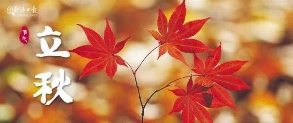 立秋不是秋,今秋尤不同