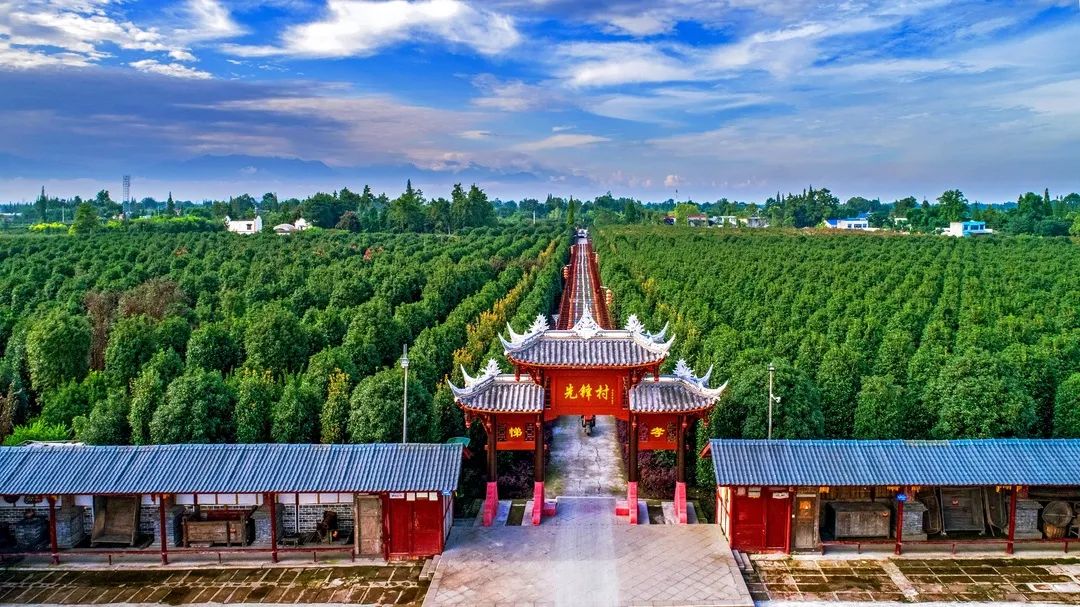 以地方立法助推基层社会治理能力现代化——成都出台全国首部全面聚焦“社区发展治理”地方性法规(图2)