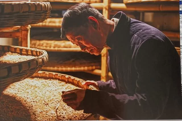 张仲安:从一等伤残军人到“世界无盐酱油之父”(图1) 张仲安:从一等伤残军人到“世界无盐酱油之父”(图1)