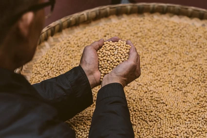 创新发展富含益生菌的无盐发酵酱油(图3) 创新发展富含益生菌的无盐发酵酱油(图3)