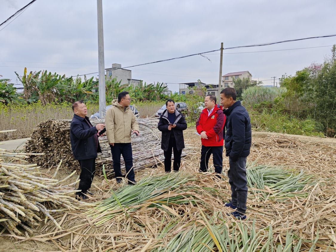 “共同体八桂行·柳州站”全媒体采访行动暨广西民族报社签约作家座谈会在柳州圆满举行(图9)