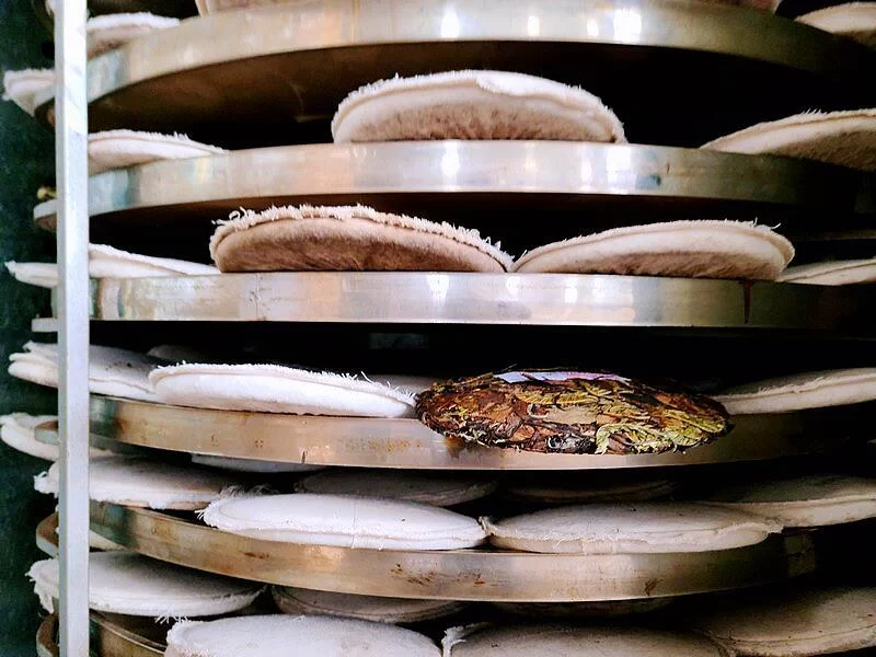 传承文化发展事业,“云中蜀山”领跑区域药茶研发(图4) 传承文化发展事业,“云中蜀山”领跑区域药茶研发(图4)