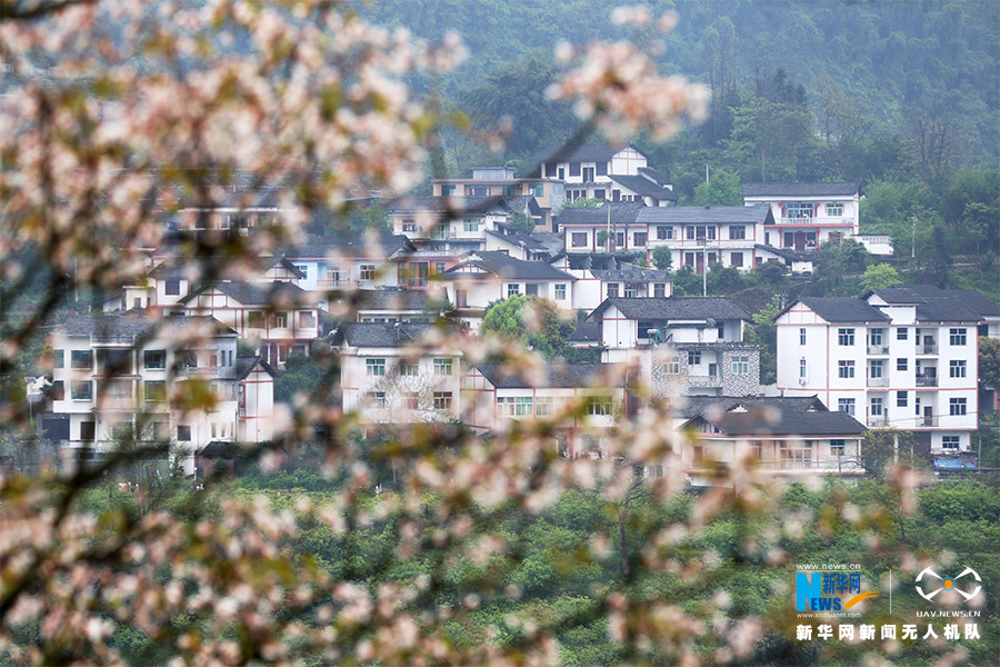 古寨变景区 重庆600年土家院落的逆袭(图3)